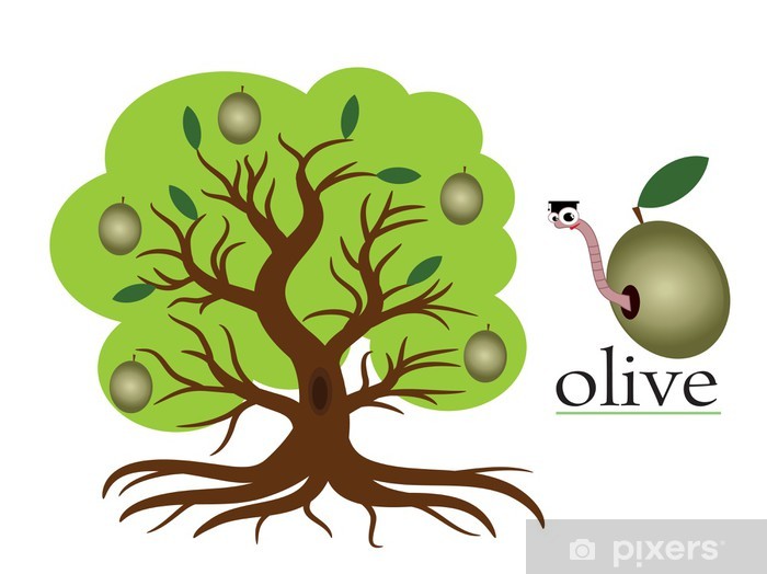 700x524 Olive Tree,vector Wall Mural
