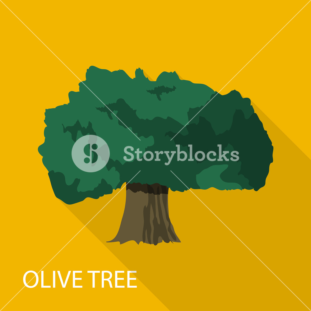 1000x1000 Olive Tree Icon Flat Illustration Of Olive Tree Vector Icon
