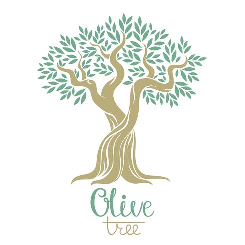 490x490 Olive Tree Vector Illustration Olive Oil Vector Olive Tree