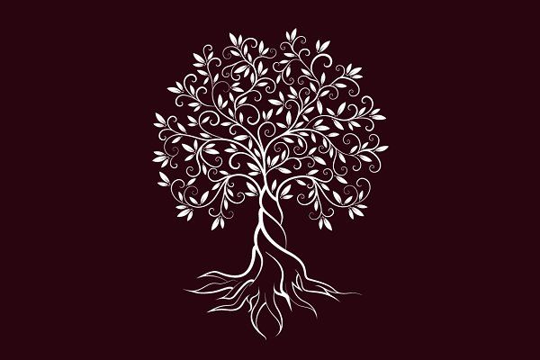600x400 Olive Tree Vector Logo Concept
