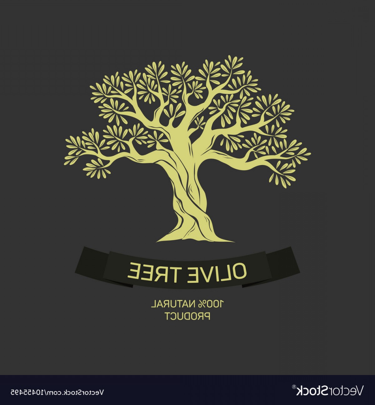 1200x1296 Hand Drawn Graphic Olive Tree Vector Catchsplace