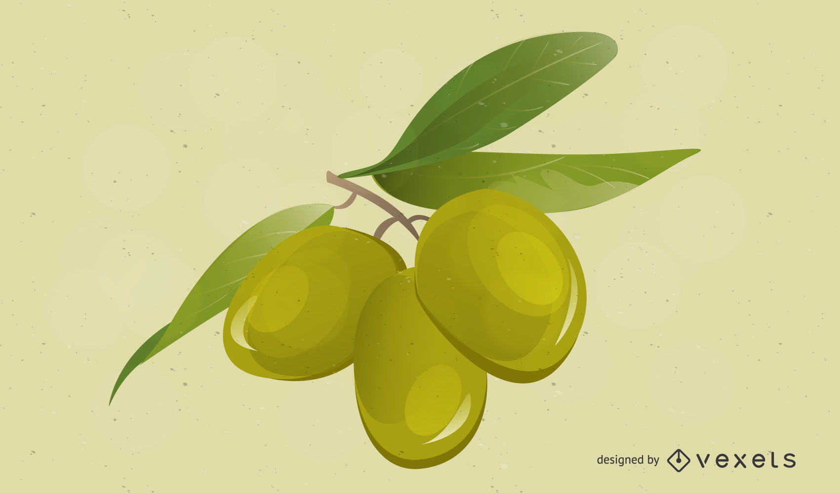 1701x1000 High Detail Olives Vector
