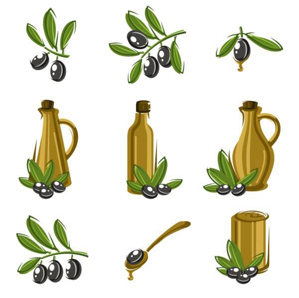 600x599 Material Of Chinese Olive Vector Dining Vector Free Vector
