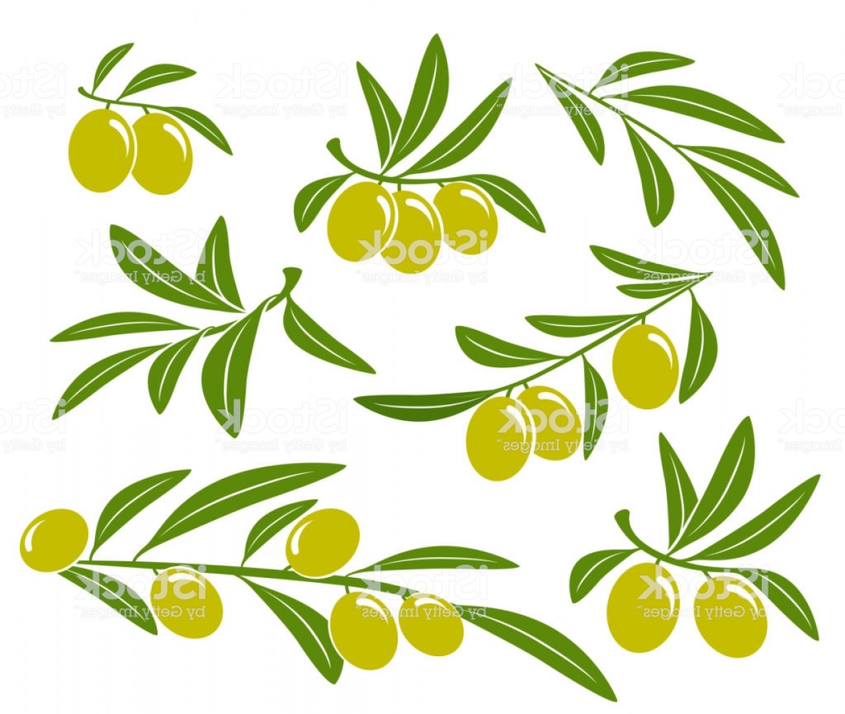 1228x1038 Olive Vector Art Hoodamathrun