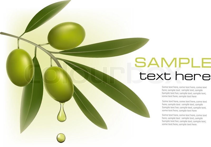 800x559 Background With Green Olives Vector Stock Vector Colourbox