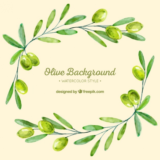 626x626 Olive Vectors, Photos And Free Download