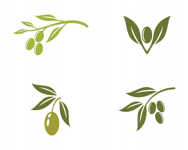 626x500 Olive Logo Template Vector Icon Vector Premium Download