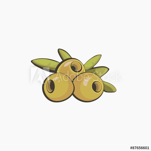 500x500 Olive Vector Illustration