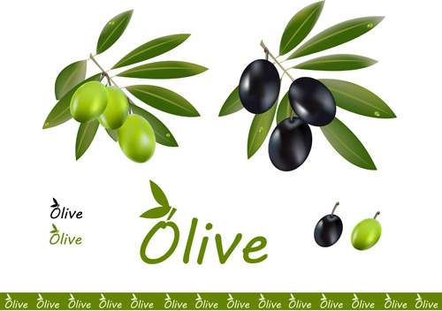 500x352 Delicate Olives Vector Design Free Vector In Encapsulated