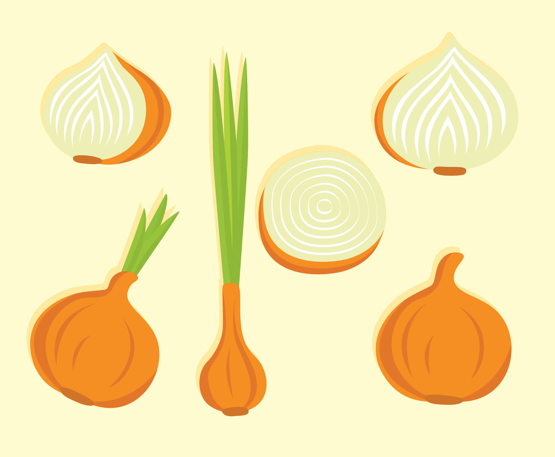 Nice Onion Vector Set Vector Art Graphics 1136x936 Nice Onion Vector Set Vector Art Graphics