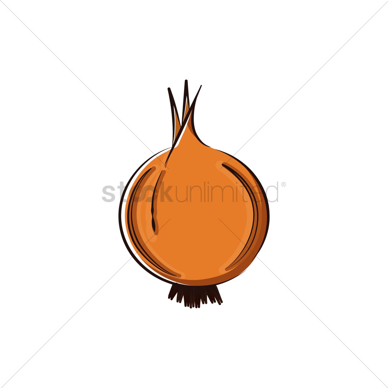 Onion Vector Image 1300x1300 Onion Vector Image
