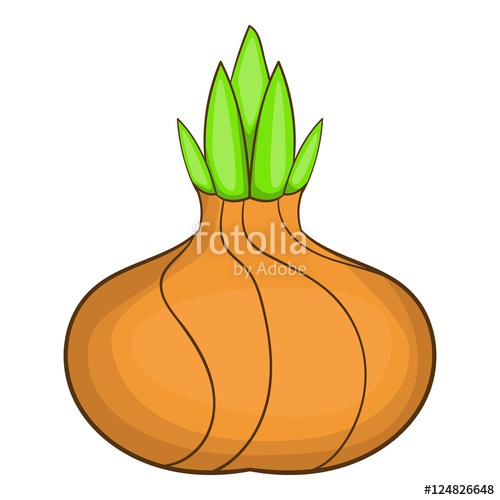 Onion Icon Cartoon Illustration Of Onion Vector Icon For Web 500x500 Onion Icon Cartoon Illustration Of Onion Vector Icon For Web