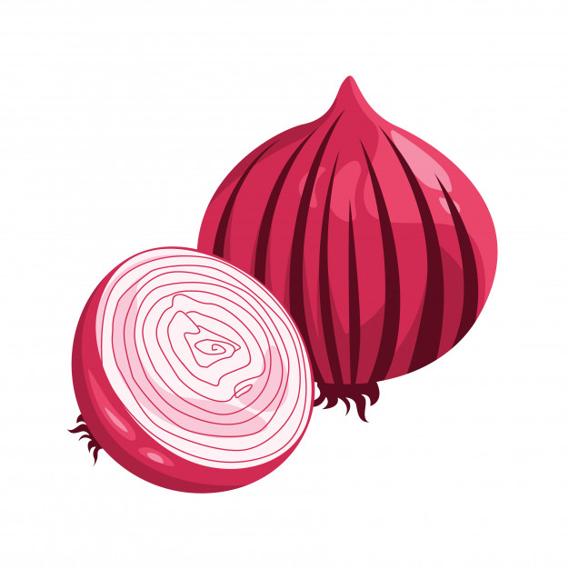 Onion Shallot Image Vector Premium Download 626x626 Onion Shallot Image Vector Premium Download