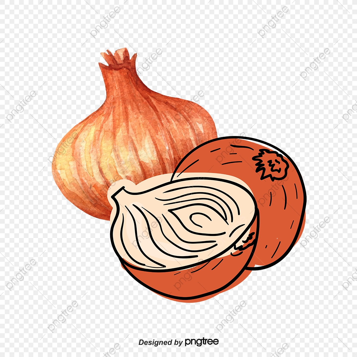 Purple Onions, Vector Material, Purple Png And Vector 1200x1200 Purple Onions, Vector Material, Purple Png And Vector