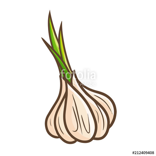 Cute And Funny Onion 500x500 Cute And Funny Onion