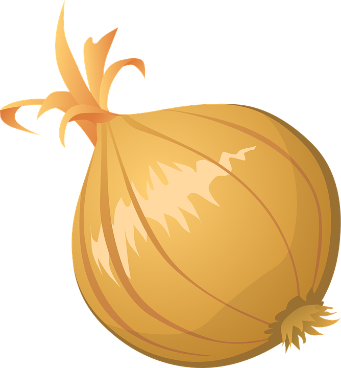 Download Free Png Onion Vector Png Clipart 668x720 Download Free Png Onion Vector Png Clipart