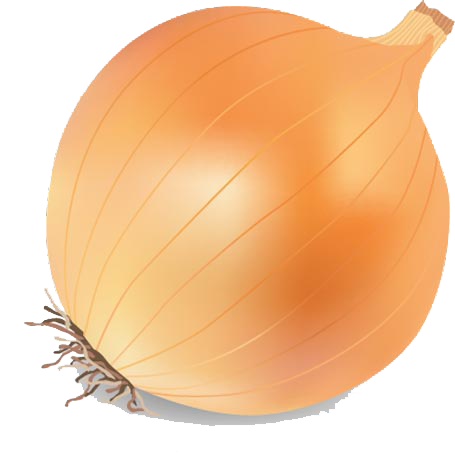 Download Free Png Onion Vector Png Transparent Image 455x455 Download Free Png Onion Vector Png Transparent Image