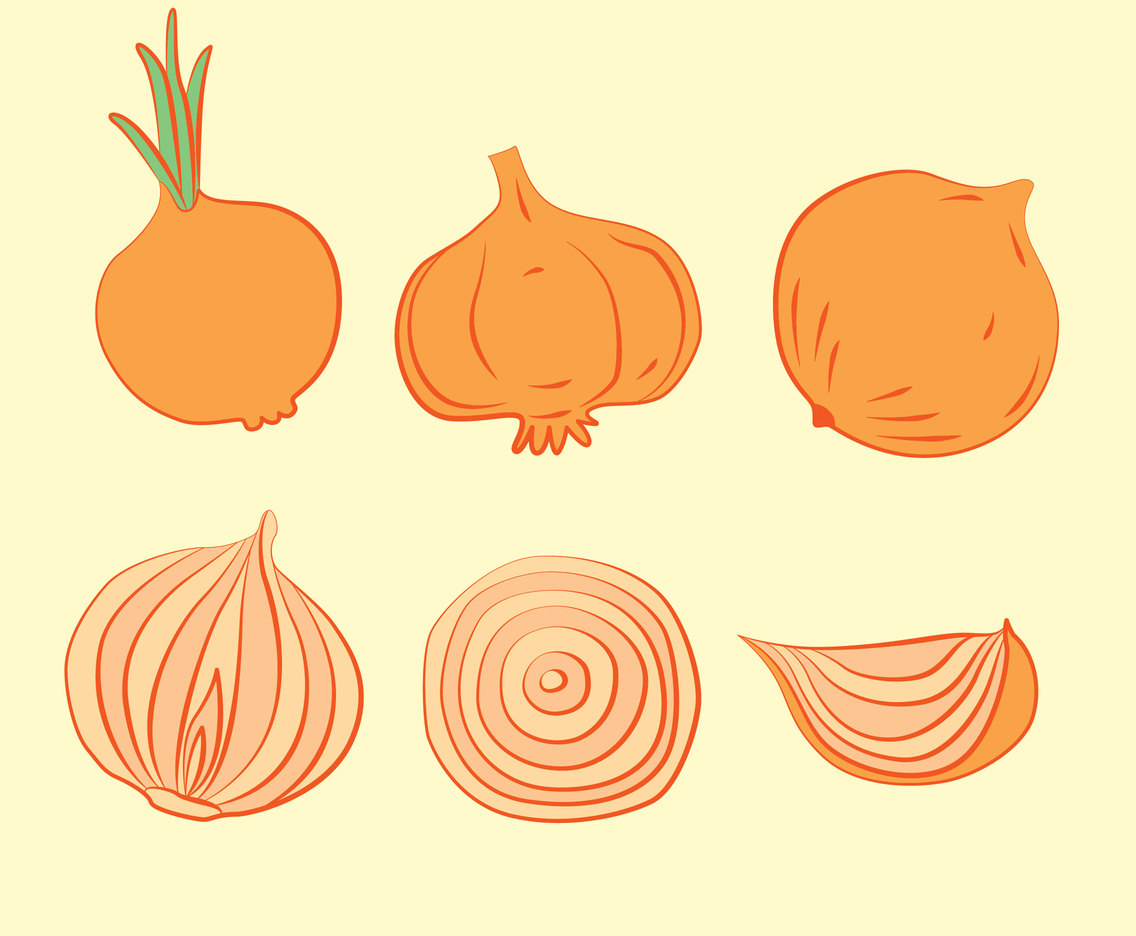 Hand Drawn Onion Vector Vector Art Graphics 1136x936 Hand Drawn Onion Vector Vector Art Graphics