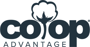 300x158 Co Op Advantage Logo Vector