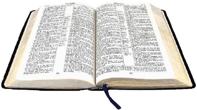 Bible Vector Png Images Collection For Free Download, Transparent 670x374 Bible Vector Png Images Collection For Free Download, Transparent