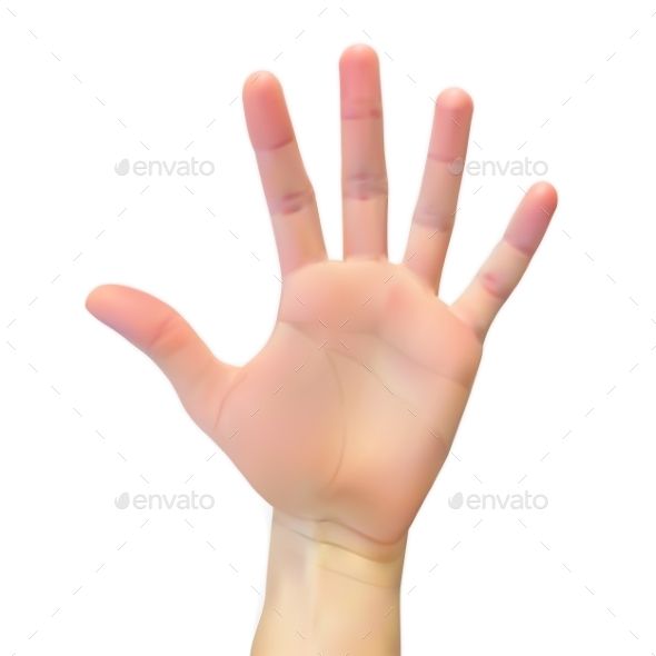 590x590 Realistic Silhouette Of An Open Hand On White Miscellaneous
