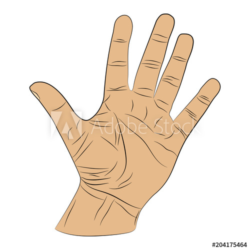 500x500 Open Hand Vector Drawing Illustration