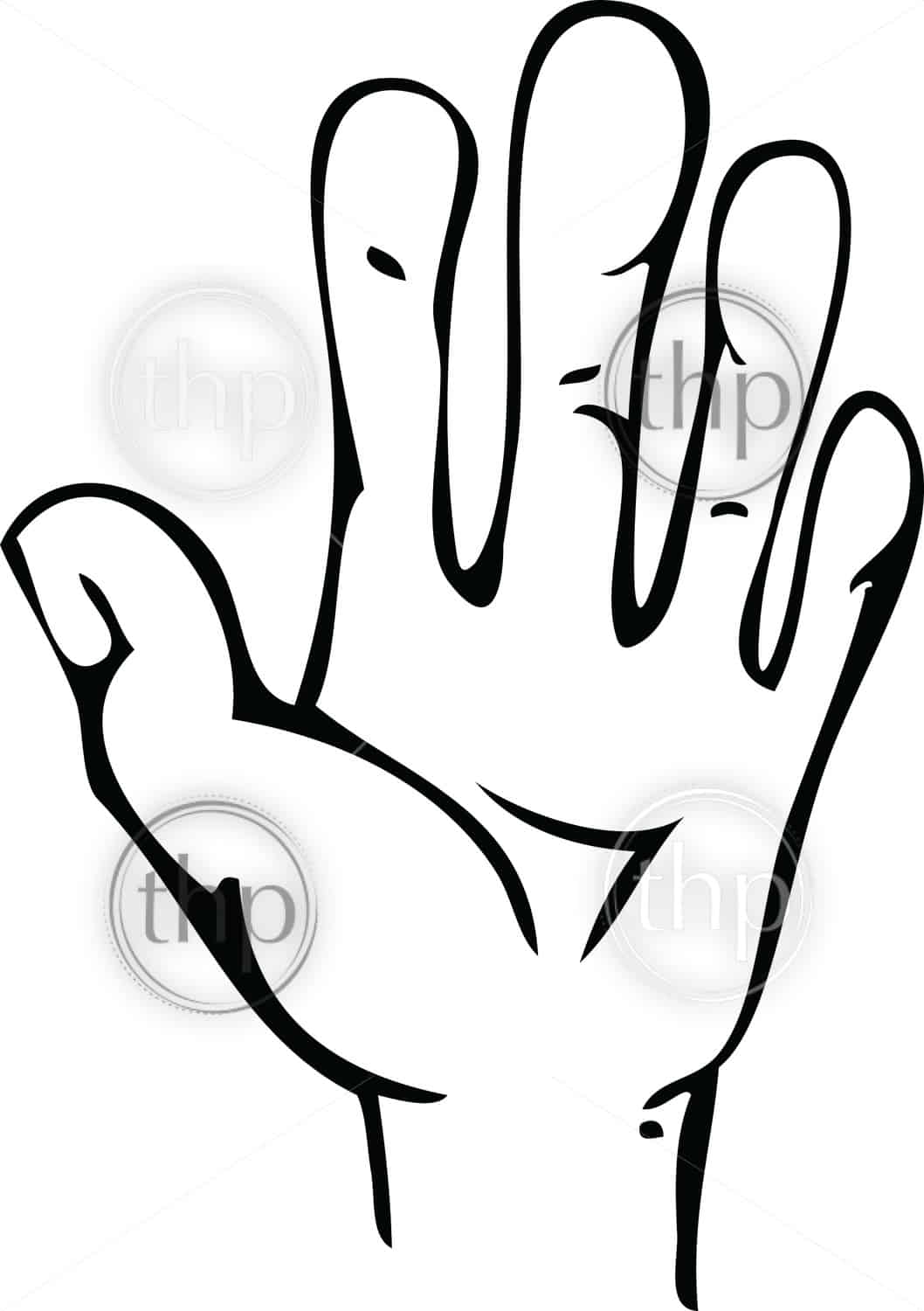 1058x1500 Cartoon Vector Line Drawing Of Human Hand With Open Palm Vector