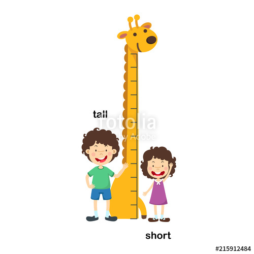 500x500 Opposite Tall And Short Vector Illustration Stock Image