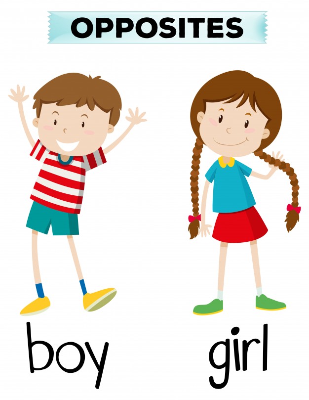 626x809 Opposite Words For Boy And Girl Vector Free Download