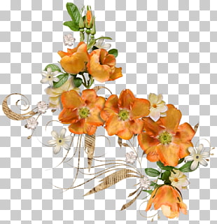 Apricot Blossom Vector Png Cliparts For Free Download Uihere 310x320 Apricot Blossom Vector Png Cliparts For Free Download Uihere