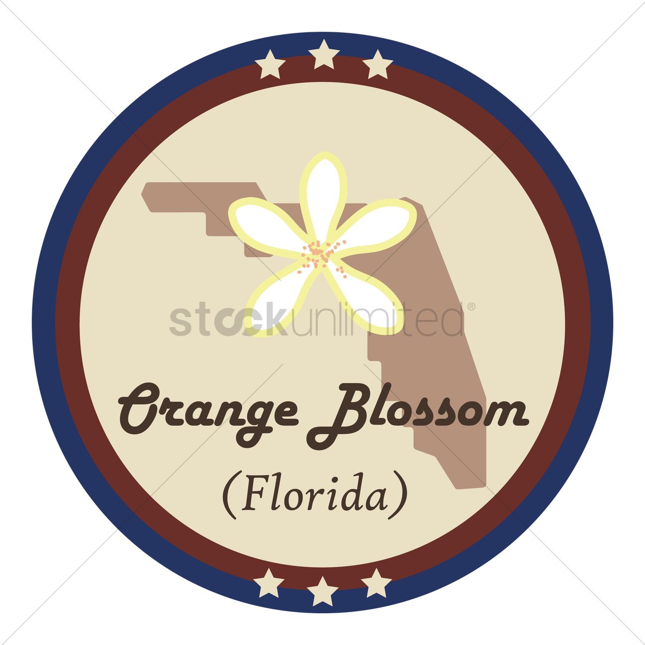 Florida State With Orange Blossom Flower Vector Image 1300x1300 Florida State With Orange Blossom Flower Vector Image