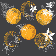 Orange Blossom Vector Photos, Royalty Free Images, Graphics 240x240 Orange Blossom Vector Photos, Royalty Free Images, Graphics