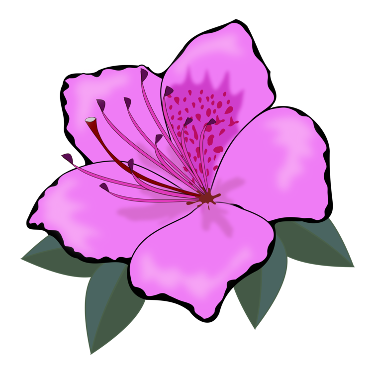 Pink,plant,flower Clipart 750x750 Pink,plant,flower Clipart