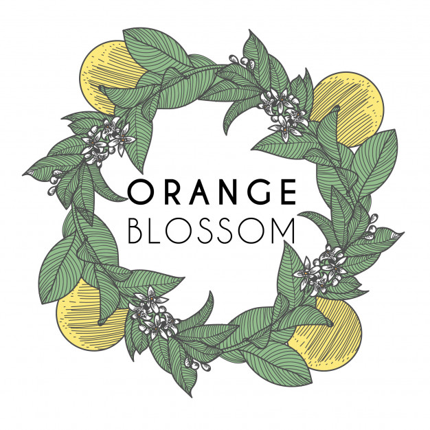 Round Frame With Orange Blossom Vector Premium Download 626x626 Round Frame With Orange Blossom Vector Premium Download