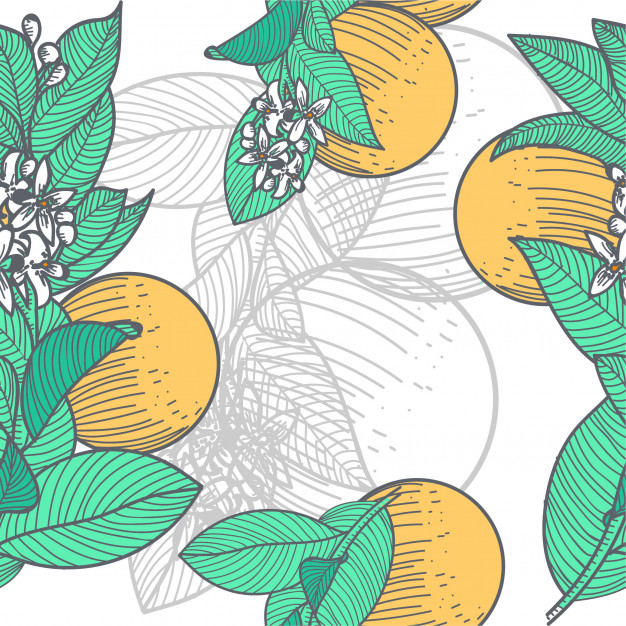 Seamless Background Orange Blossom Vector Premium Download 626x626 Seamless Background Orange Blossom Vector Premium Download