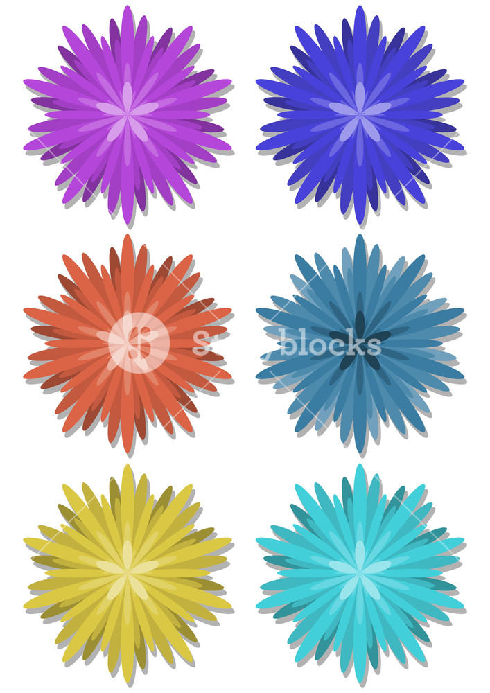 Set Of Simple Flower Shapes In Different Colors With Shadow 707x1000 Set Of Simple Flower Shapes In Different Colors With Shadow