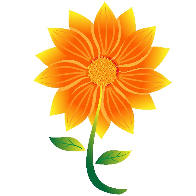 Orange Blooming Flower Vector Image 640x640 Orange Blooming Flower Vector Image