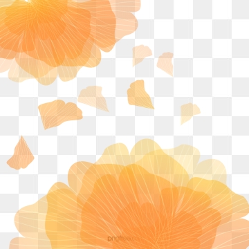 Orange Flower Png Images Vector And Free Download 360x360 Orange Flower Png Images Vector And Free Download