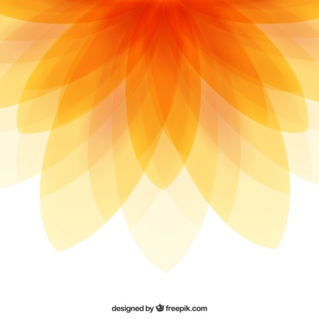 Orange Flower Vectors, Photos And Free Download 626x626 Orange Flower Vectors, Photos And Free Download