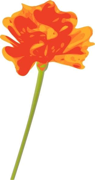 Orange Flower Clip Art Free Vector In Open Office Drawing 312x592 Orange Flower Clip Art Free Vector In Open Office Drawing