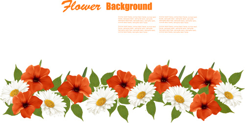 Summer White And Orange Flowers Background Vector Free Vector 500x252 Summer White And Orange Flowers Background Vector Free Vector