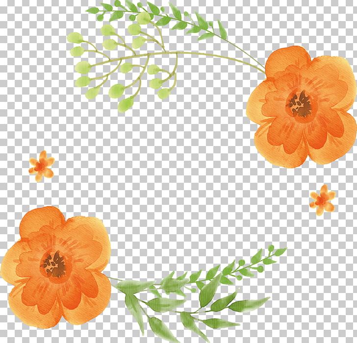 Watercolor Flowers Orange Watercolor Painting Png, Clipart, Box 728x700 Watercolor Flowers Orange Watercolor Painting Png, Clipart, Box