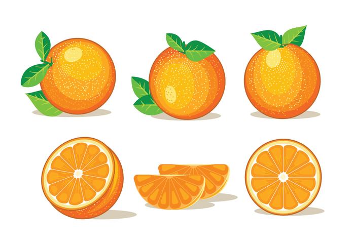 Orange Free Vector Art 700x490 Orange Free Vector Art