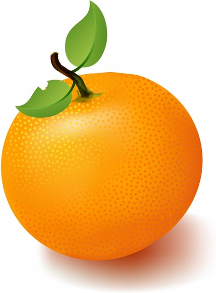 Orange Free Vector In Adobe Illustrator 442x600 Orange Free Vector In Adobe Illustrator