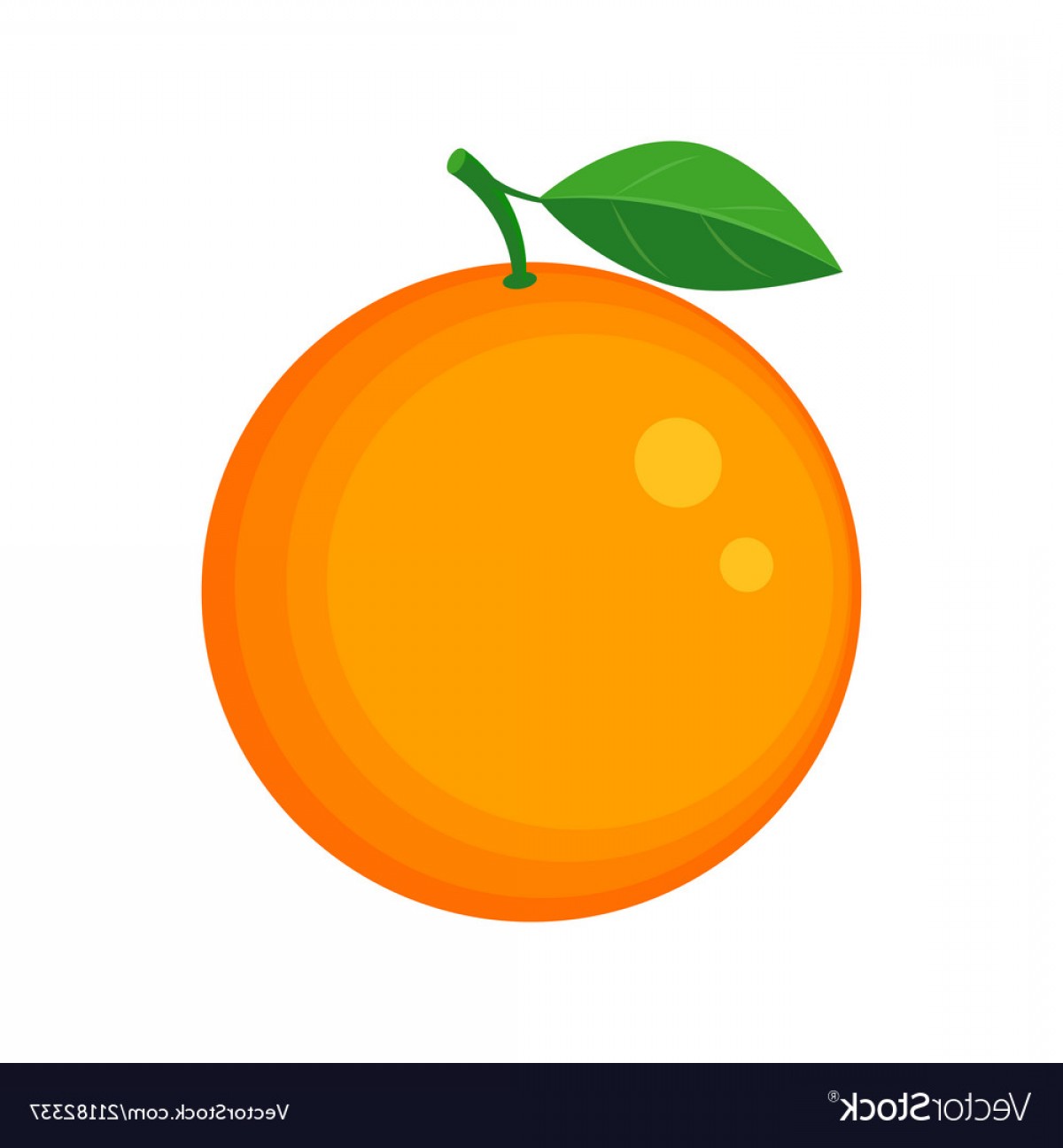 Orange Fruit Vector Cqrecords 1200x1296 Orange Fruit Vector Cqrecords