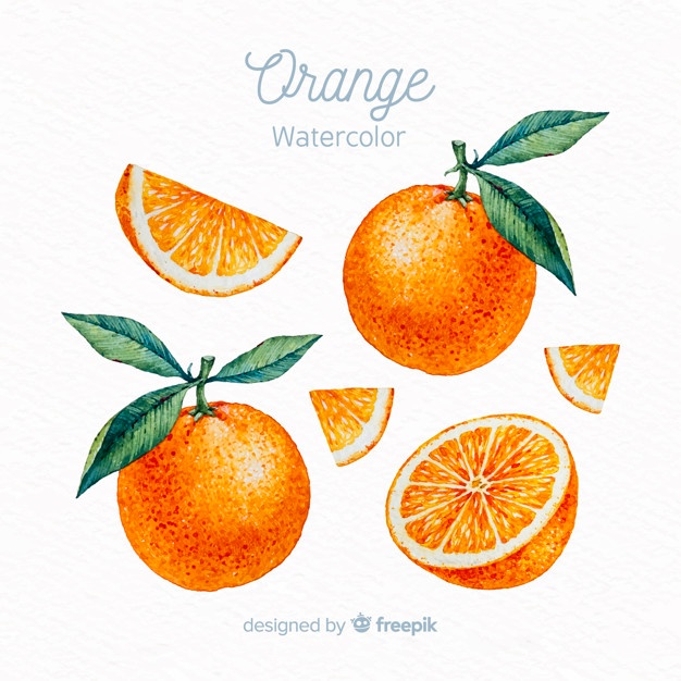 Orange Vectors, Photos And Free Download 626x626 Orange Vectors, Photos And Free Download