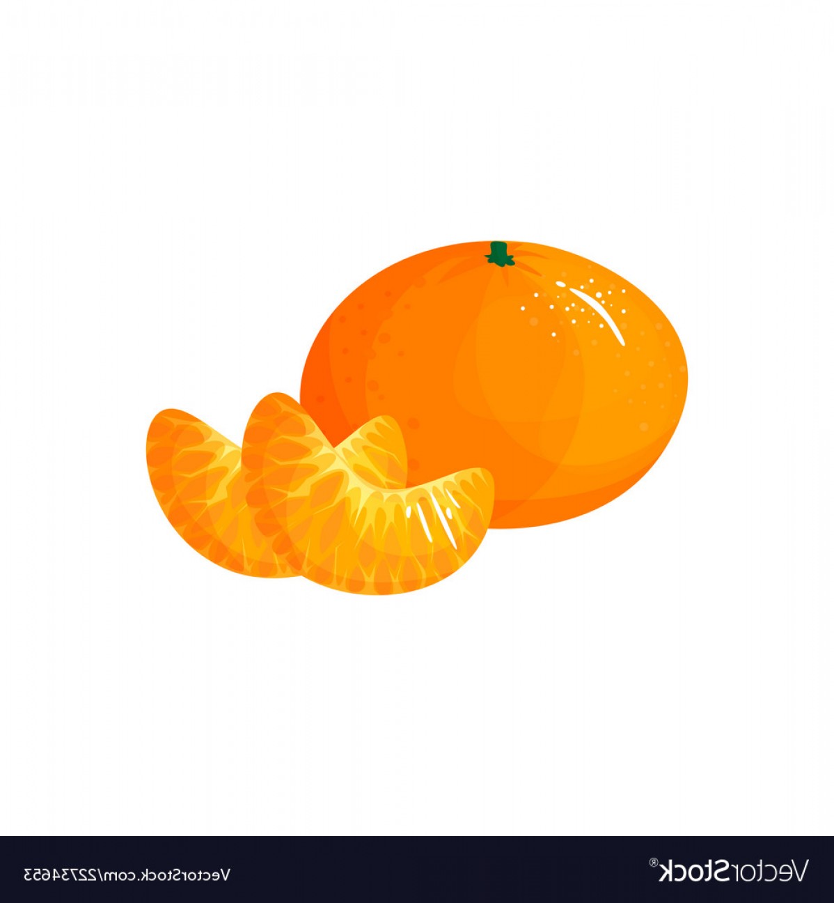 Orange Fruit Vector at Vectorified.com | Collection of Orange Fruit ...