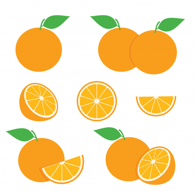 Orange Fruit And Orange Slice Design Vector Set Vector Premium 626x626 Orange Fruit And Orange Slice Design Vector Set Vector Premium