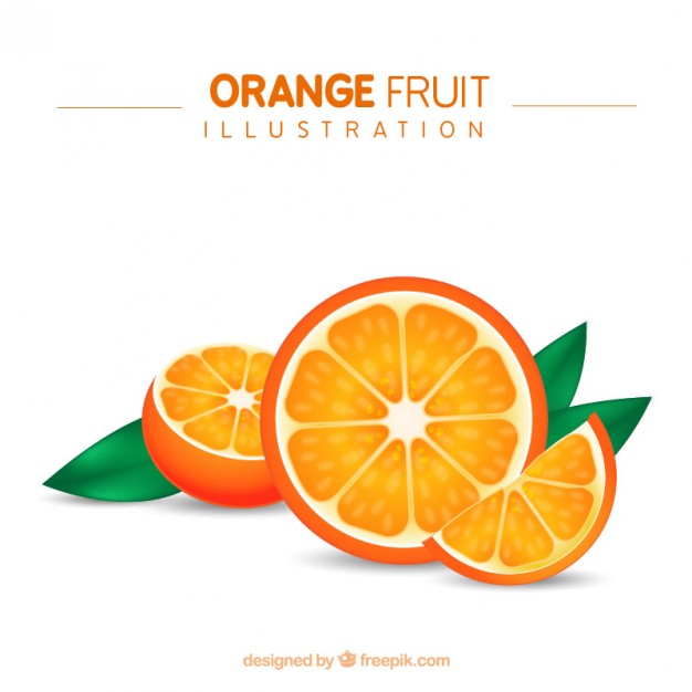 Orange Fruit Illustration Vector Free Download 626x626 Orange Fruit Illustration Vector Free Download