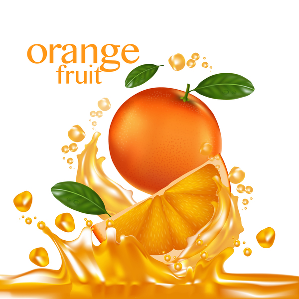 Orange Fruit Vector Illustration Free Download 600x600 Orange Fruit Vector Illustration Free Download